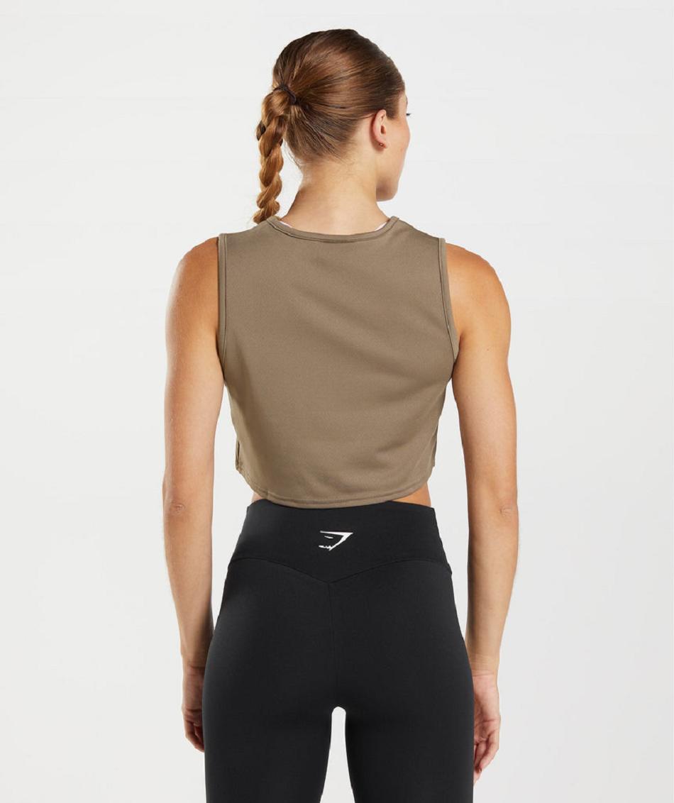 Podkoszulki Damskie Gymshark Treningowe Crop Brązowe | PL 3051DFM